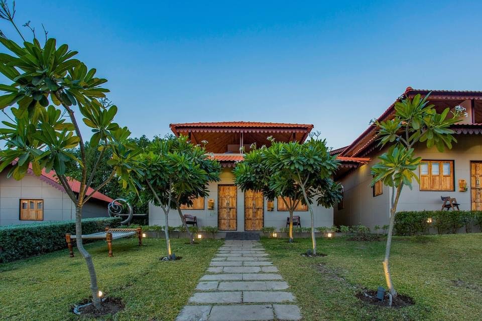 The Meadow Nature Cure